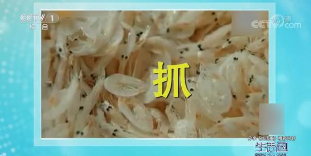 虾变红了还能吃吗，生虾变红了是不是坏了（工大教授在中央电视台告诉你）