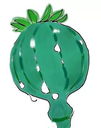 关于禁毒的绘画，关于一些禁毒的绘画作品（看看这位禁毒学子的手绘禁毒漫画）