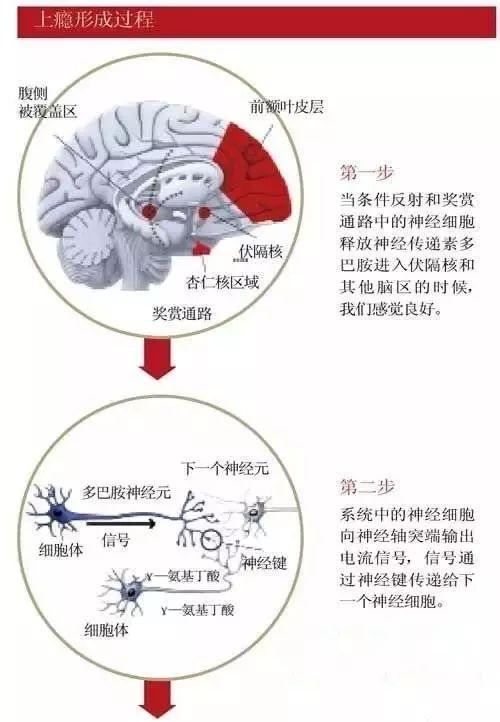 关于禁毒的绘画，关于一些禁毒的绘画作品（看看这位禁毒学子的手绘禁毒漫画）