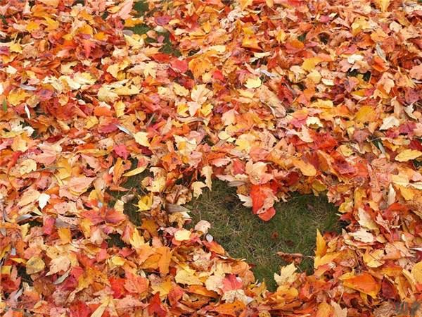 适合发朋友圈的经典文案，适合发朋友圈的经典文案短句（适合发朋友圈的经典句子）