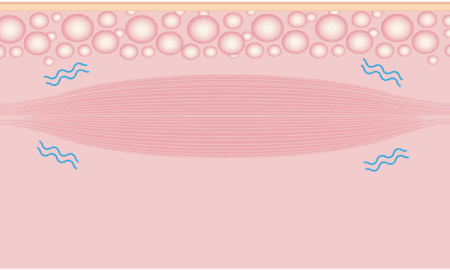 背薄一寸下一句是什么，背薄一寸下一句话怎么说（千万别做“背厚”的人）