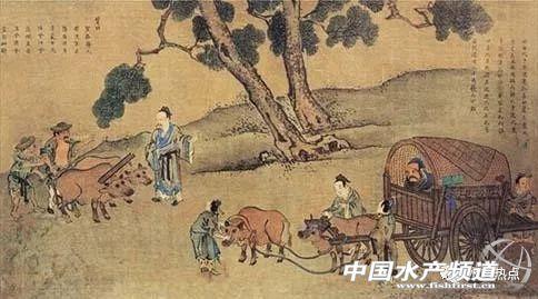 关于青蛙的资料，青蛙的简介（年产6万吨的青蛙为何被列为保护动物）