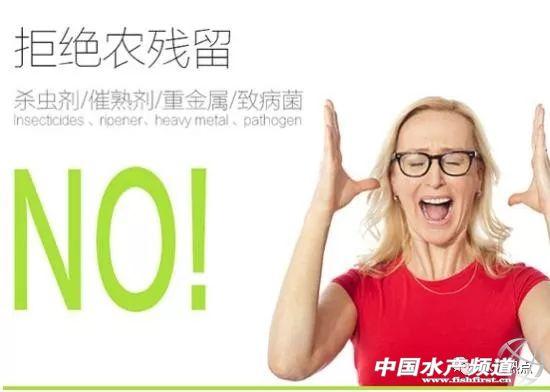 关于青蛙的资料，青蛙的简介（年产6万吨的青蛙为何被列为保护动物）