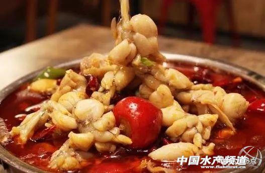 关于青蛙的资料，青蛙的简介（年产6万吨的青蛙为何被列为保护动物）