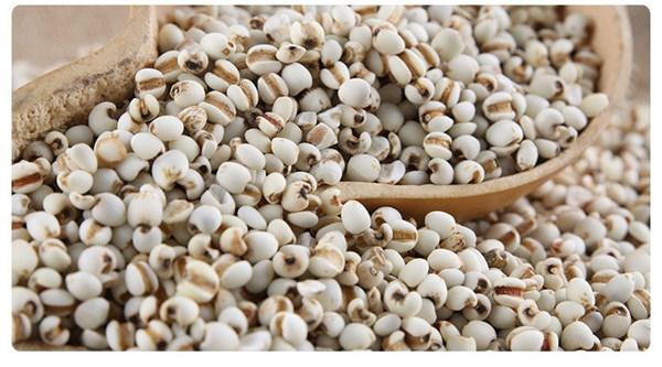 红豆薏米茶怎么做，自己在家怎么制作红豆薏米茶（红豆加“它”泡水喝）