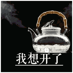 量身定做读音，2018年度汉字念