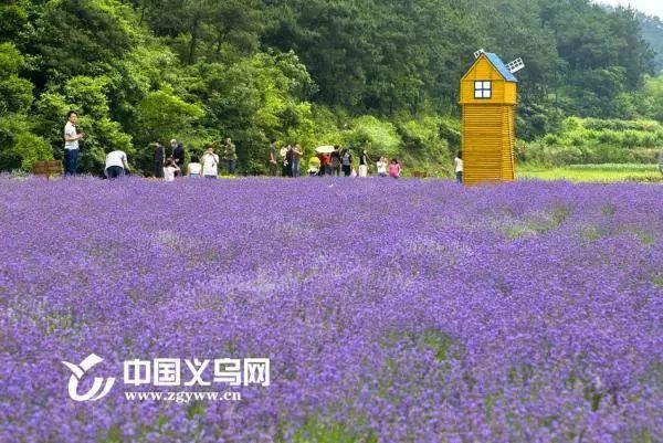 义乌旅游必去十大景点推荐，义乌人必须打卡的13个地方