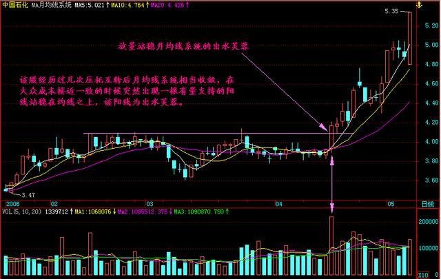 新手炒股如何选股，新手炒股如何选股票？