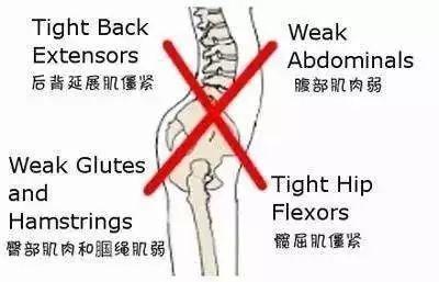 肋骨有几块，肋骨是哪一块（可我只想让她了解一下肋骨外翻）