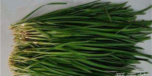 红枣属于发物吗，红枣算不算发物（发物有科学依据吗）