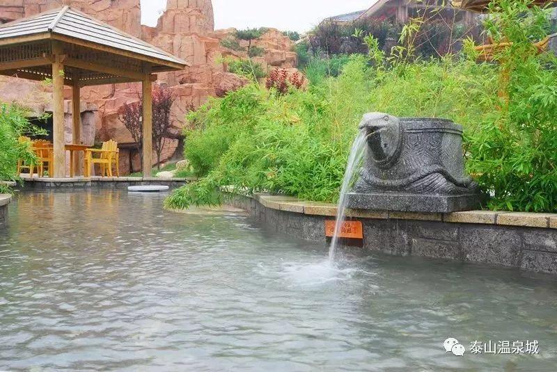 创意旅行明信片，来自泰安旅游的明信片