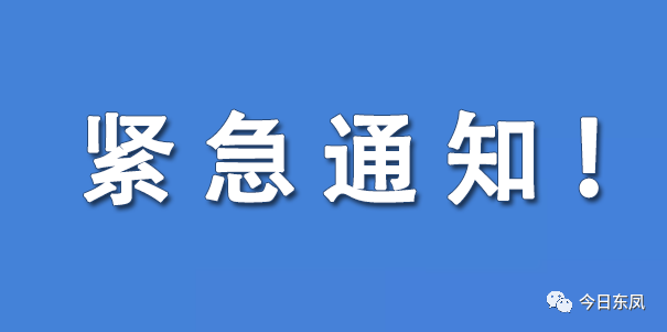 如何批量灭蝇，怎么能快速灭苍蝇（东凤市民：12月10日起）