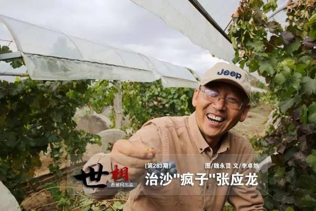 治沙人张应龙事迹，相信神木也有“世外桃源”