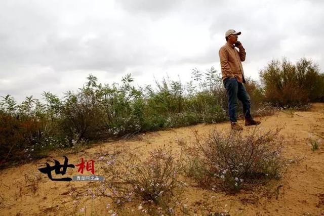 治沙人张应龙事迹，相信神木也有“世外桃源”