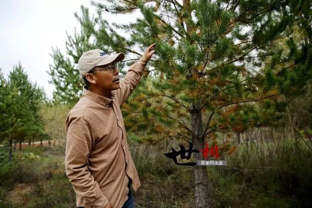 治沙人张应龙事迹，相信神木也有“世外桃源”