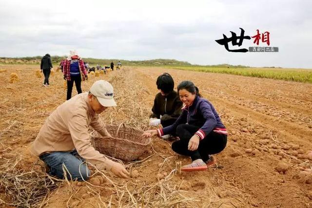 治沙人张应龙事迹，相信神木也有“世外桃源”