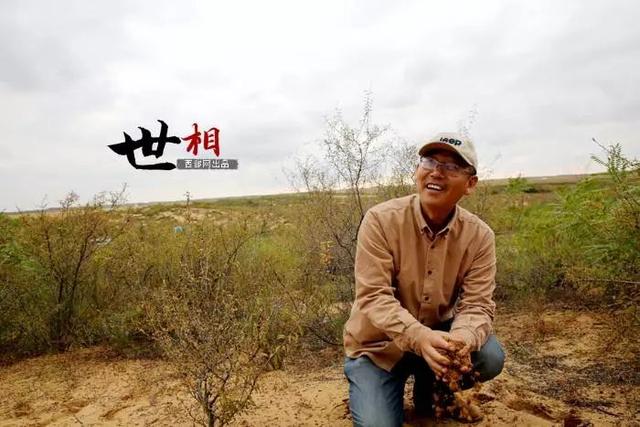 治沙人张应龙事迹，相信神木也有“世外桃源”