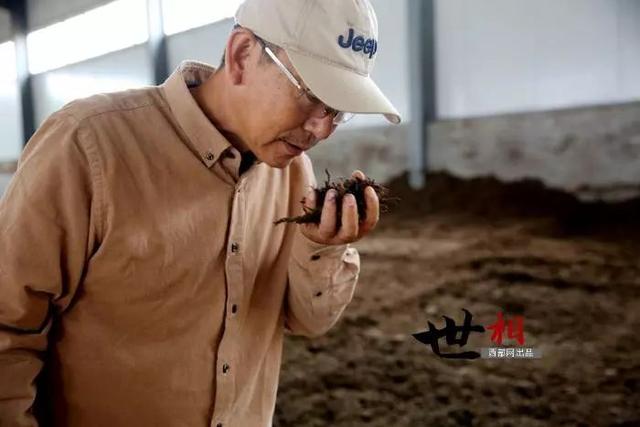 治沙人张应龙事迹，相信神木也有“世外桃源”