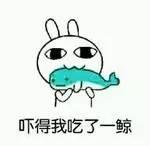 微信怎么把人移出群聊，微信群里如何把他人移出群聊（教你如何优雅地退出群聊）