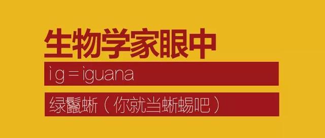 藏单什么意思是什么生肖，女生说的ig你也不懂（藏是什么生肖）