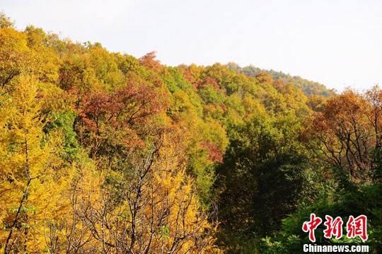 立冬是几月几日，立冬是农历几月几日（立冬和冬至有什么区别不同）