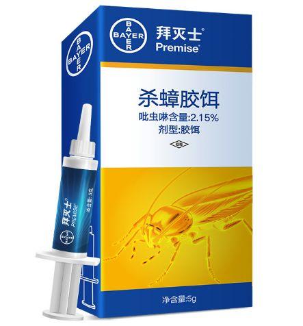 会飞的蟑螂是怀孕了吗，蟑螂会飞嘛（终于和这种让你半夜失声尖叫的生物说债见了）