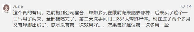 会飞的蟑螂是怀孕了吗，蟑螂会飞嘛（终于和这种让你半夜失声尖叫的生物说债见了）