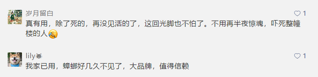 会飞的蟑螂是怀孕了吗，蟑螂会飞嘛（终于和这种让你半夜失声尖叫的生物说债见了）
