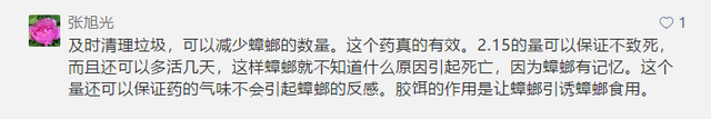 会飞的蟑螂是怀孕了吗，蟑螂会飞嘛（终于和这种让你半夜失声尖叫的生物说债见了）