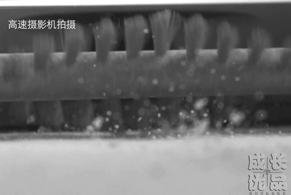 家里如何去螨虫，家里螨虫怎么去除的有效方法（如何正确清除家里的螨虫）