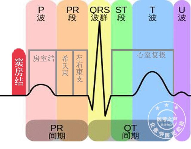 通俗易懂的心电图基础介绍，零基础都秒懂：学习心电图