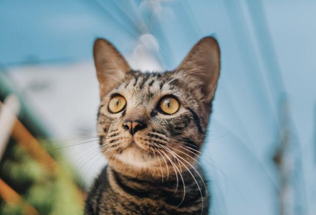 ✨哈喽！✨大家好呀✨我是新来的✨请多多关照❤️，大家好图片大全最美（每个人心中的“土味”回忆）