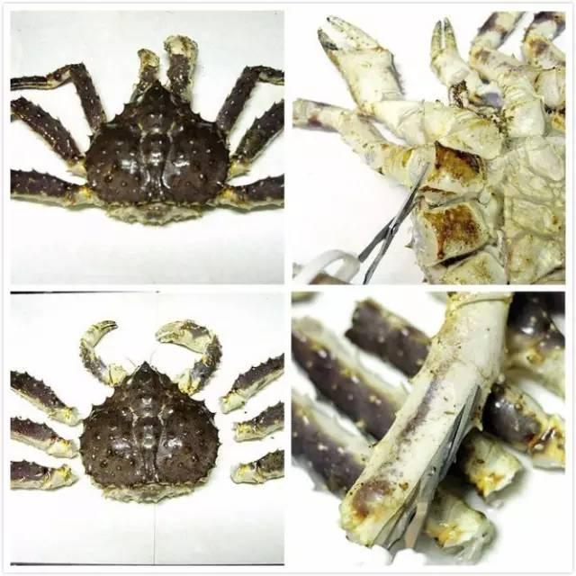 墨鱼如何清洗，常见海鲜清洗大全