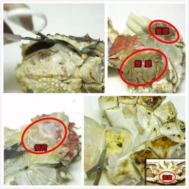 墨鱼如何清洗，常见海鲜清洗大全