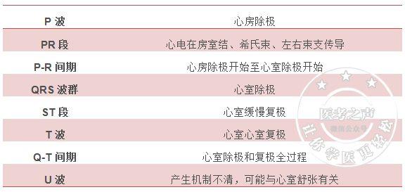 通俗易懂的心电图基础介绍，零基础都秒懂：学习心电图