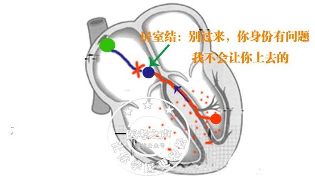 通俗易懂的心电图基础介绍，零基础都秒懂：学习心电图