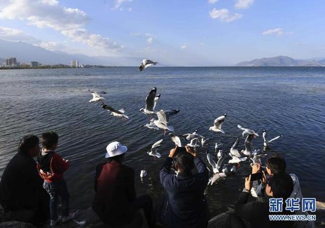 洱海在云南哪里，洱海在哪里（云南大理：洱海景色秀丽）