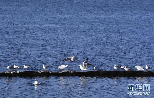 洱海在云南哪里，洱海在哪里（云南大理：洱海景色秀丽）