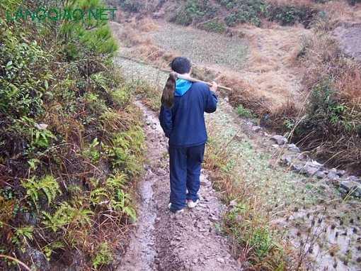 山东杏林科技职业学院王牌专业有哪些及专业排名，山东杏林科技职业学校（温州文明好故事丨昔日小男孩为父采药十年）