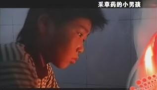 山东杏林科技职业学院王牌专业有哪些及专业排名，山东杏林科技职业学校（温州文明好故事丨昔日小男孩为父采药十年）