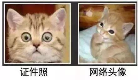 拍身份证照片可以化妆吗，身份证拍照可以化妆吗（身份证照片拍得丑怎么破）