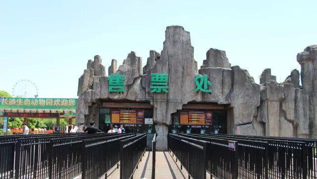 大西几什么意思（小脑斧、墙颈鹿、大蟒鞋……）