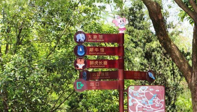 大西几什么意思（小脑斧、墙颈鹿、大蟒鞋……）