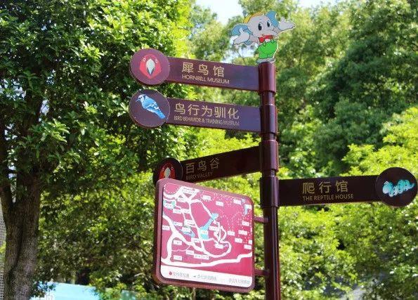 大西几什么意思（小脑斧、墙颈鹿、大蟒鞋……）