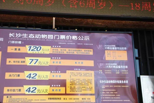 大西几什么意思（小脑斧、墙颈鹿、大蟒鞋……）