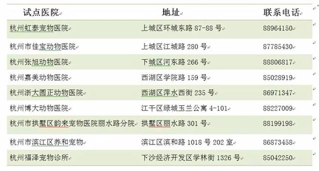 巴仙吉犬犬舍，巴仙吉犬的智商（关于养犬，这些问题你要了解）