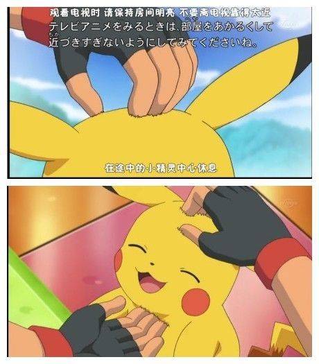 对于皮卡丘毛发的严肃研究