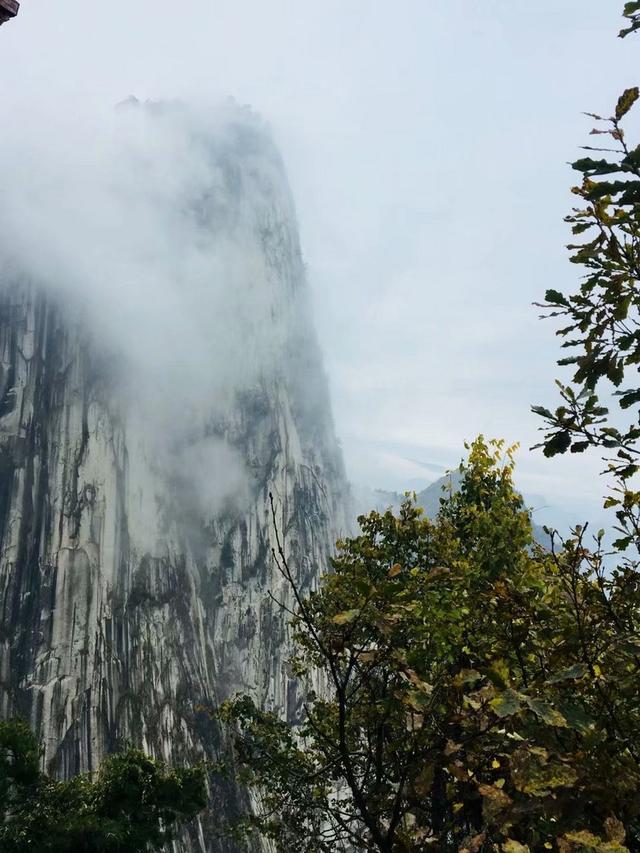 华山简单介绍，华山的资料（五岳之一，西岳华山）
