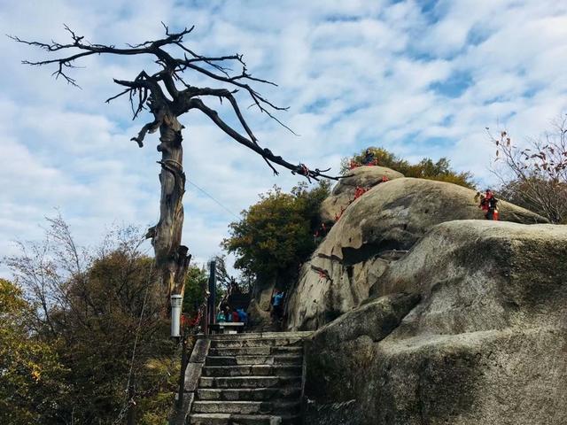 华山简单介绍，华山的资料（五岳之一，西岳华山）