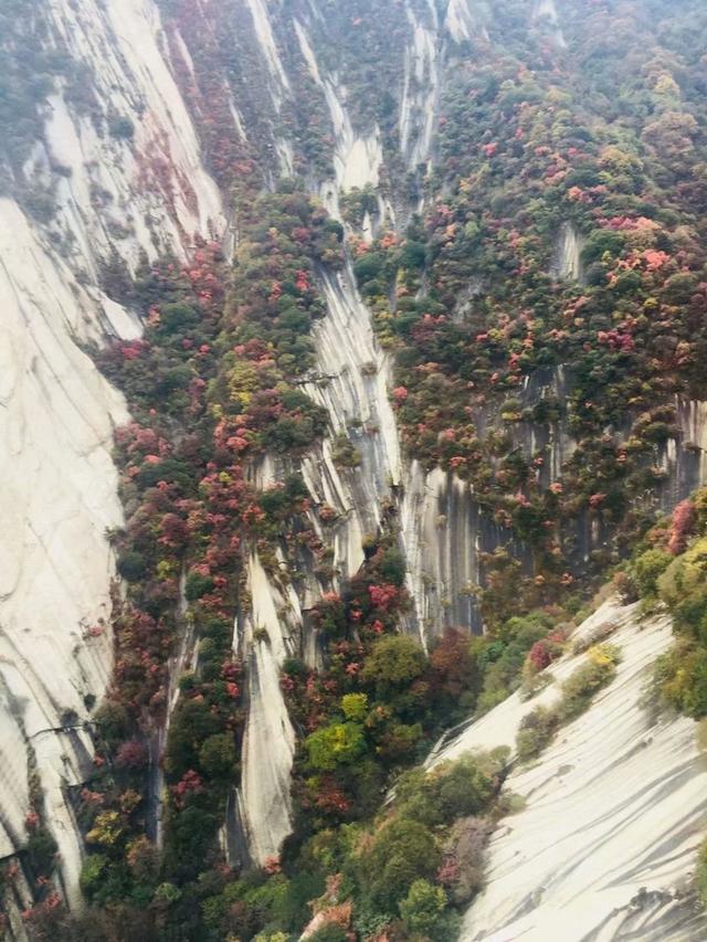 华山简单介绍，华山的资料（五岳之一，西岳华山）